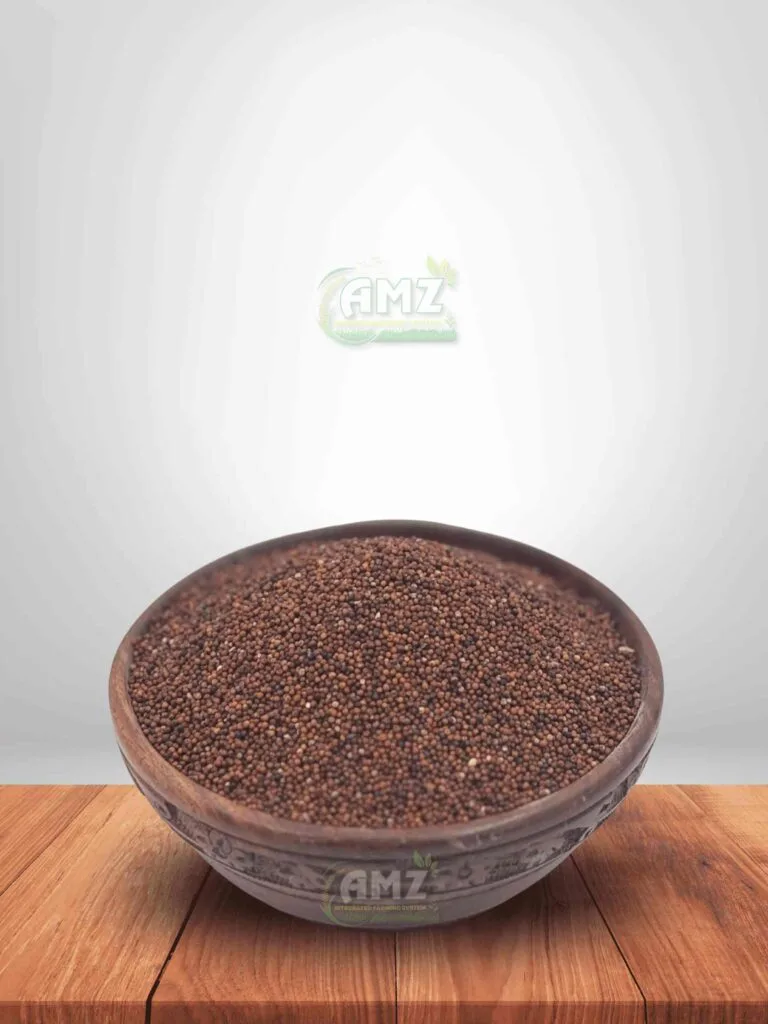 Ragi